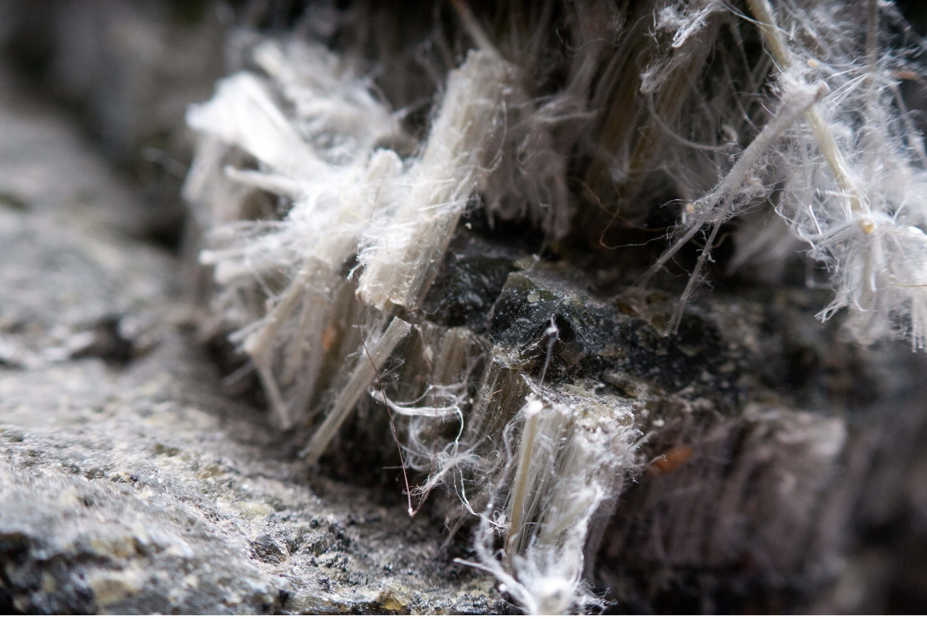 microscopic view of asbestos fibres